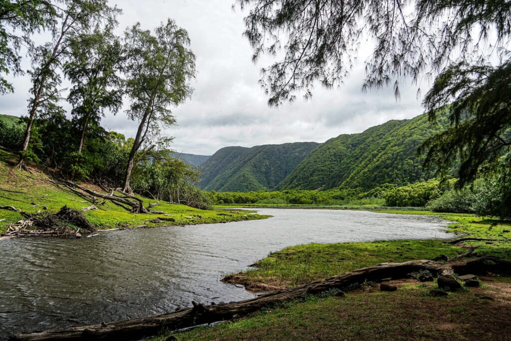 a river with trees and mountains in the background